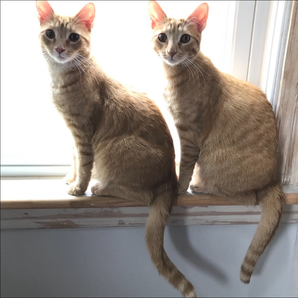 Hello! - Picture 6 of 12